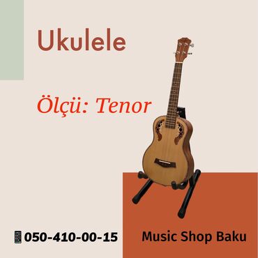 gunebaxan haqqinda melumat: Ukulele, Yeni