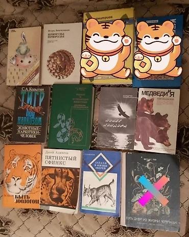 пыль: Продаю книги разные +Ред. Мельников Б. Н. Справочник. Отделка — 9