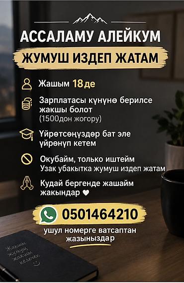 работа тг: Услуга: соискатель работы - Возраст: 18 лет - Ищет долгосрочную — 1