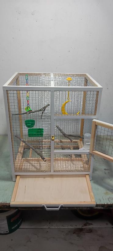 hamster qəfəsi: Papuqay,dovşan,hamster,şinşila,bildirçin,cücə,xamyak,pişik,quş,tısbağa — 3