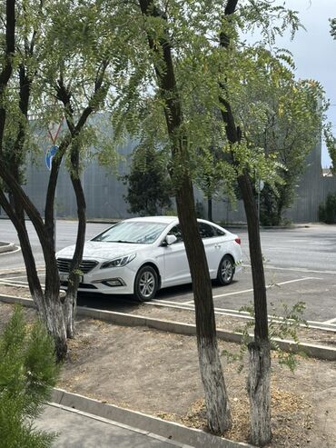 фары на нексии: Hyundai Sonata: 2017 г., 2 л, Типтроник, Газ, Седан