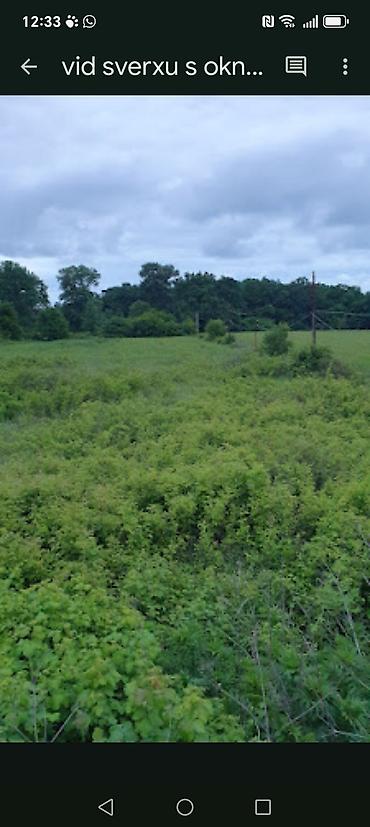 Başqa xidmətlər: Xaçmazda ev satılır. - Ünvan: Xaçmaz - Sənəd: Kupça (çıxarış) var - — 10