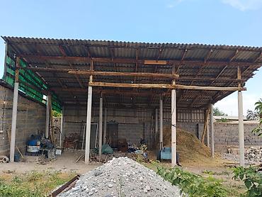сумка для собак: Продаю большой сеновал поможем разобрать — 1