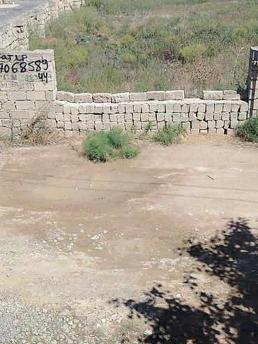 Tikinti