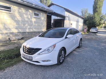 авто лексуз: Hyundai Sonata: 2011 г., 2.4 л, Автомат, Бензин, Седан