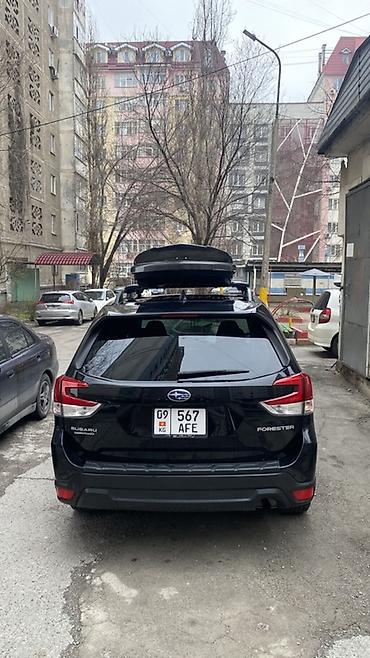 Subaru: Subaru Forester: 2019 г., 2.5 л, Вариатор, Бензин, Кроссовер — 6