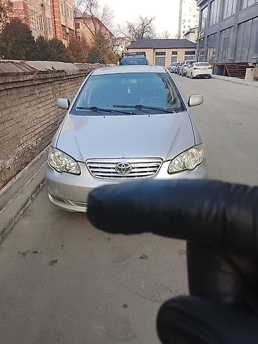 Продажа авто: Toyota Corolla: 2008 г., 1.6 л, Механика, Бензин, Седан — 3