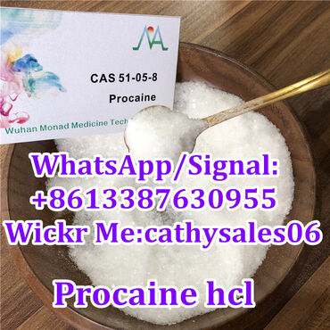 Procaine HCL Local Anesthetic Procaine Pain Reliever in STOCK 51-05-8