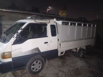 декоративные кролик: Вывоз мусора,, вывоз мусора,,, вывоз мусора вывоз,