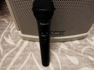 микрафон петличка: Продаю комбик Японского бренда Roland ba-55 в комплекте с микрофоном