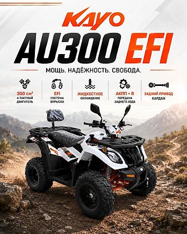 🔥🔥KAYO AU300 EFI 🔥🔥 от компании ТЕХНОМАШ!!! официальный