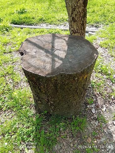 ortopedik matraslar bakida: Ət kötüyü Eni(diametri) 50sm,Hunduru 60sm — 1