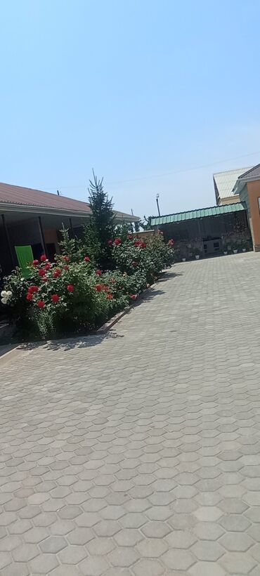 Иссык-Куль 2025: Коттедж, СОЛНЫШКО ЦО Солнышко at lalafo.kg — 12 Иссык-Куль 2025: Коттедж, СОЛНЫШКО ЦО Солнышко — 12