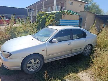 вентилятор опель вектра б: Nissan Primera: 2001 г., 1.6 л, Механика, Седан — 3