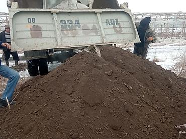 Грунт, чернозем: В тоннах, Бесплатная доставка, Зил — 11