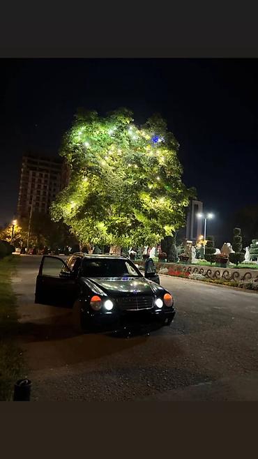 Mercedes-Benz: Mercedes-Benz E-Class: 2001 г., 2.2 л, Дизель, Универсал — 8