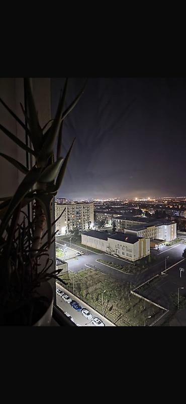 əmlak az ismayıllı: 3 otaqlı, Yeni tikili, 85 kv. m — 2