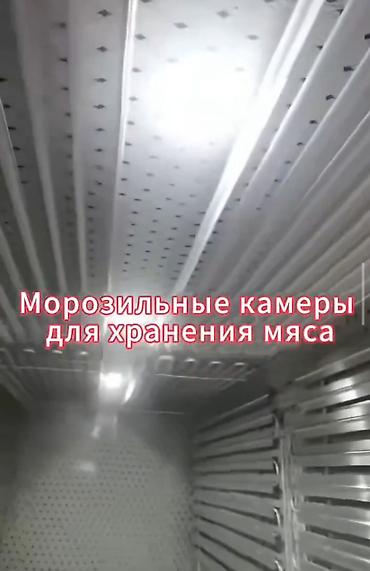 холодильник промышленый: 📢🧑‍🏫 Выращиваете фрукты и овощи перерабатываете мясо или расширяете — 7