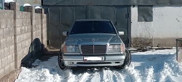 Mercedes-Benz: Mercedes-Benz W124: 1993 г., 4.2 л, Автомат, Газ, Седан