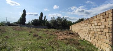 Torpaq sahələrinin satışı: Tikinti, Mülkiyyətçi, Kupça (Çıxarış) — 3