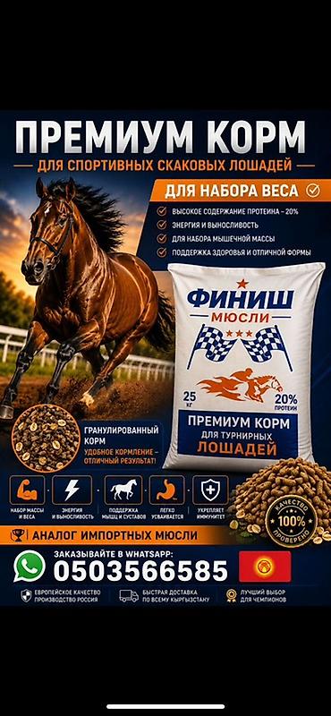 Животные: Премиум корм «Финиш Мюсли» для спортивных/турнирных лошадей — 1