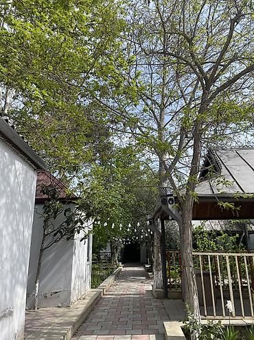 Bağ evlərinin kirayəsi: Keşlə qəs., 500 kv. m, 10 otaq, Hovuzlu, Kanalizasiya, Qaz, Su — 17
