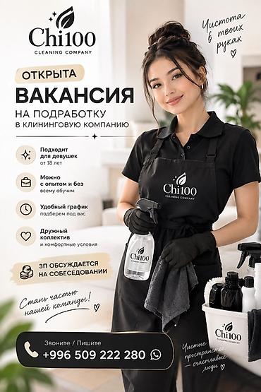 Уборщики: Требуется Уборщик, Квартира, График: Гибкий график, Неполный рабочий день — 1