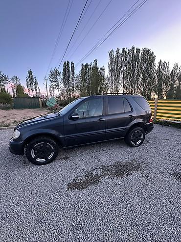 ипсум левый рул: Mercedes-Benz ML-Class: 2004 г., 4 л, Автомат, Дизель, Кроссовер — 4