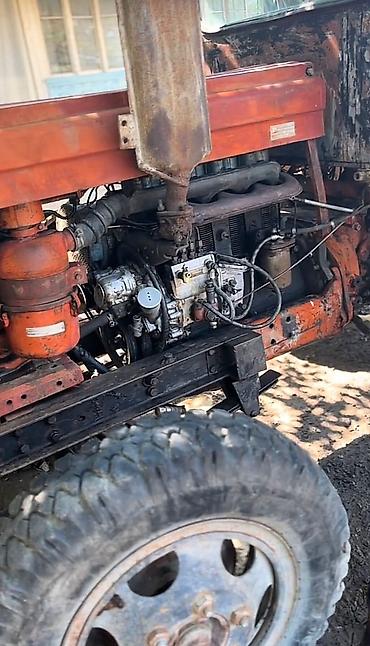 Traktorlar: Traktor Belarus (MTZ) 28, 1986 il, 28 at gücü, motor 0.2 l, İşlənmiş — 10