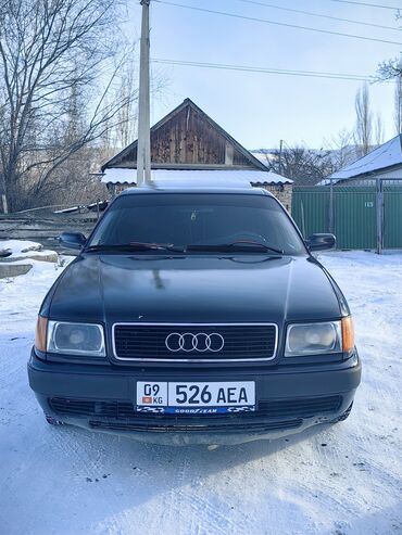 Audi: Audi 100: 1993 г., 2.3 л, Механика, Бензин, Седан