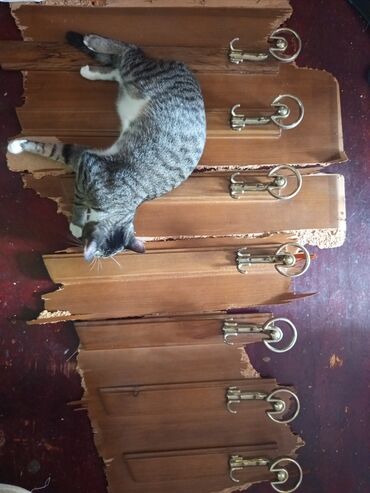 Asılqanlar: Sovetden qalma,qedimi qarderobun, taxta ve polad asilqani — 4