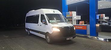 Пассажирский бус на заказ: На заказ бус — 15