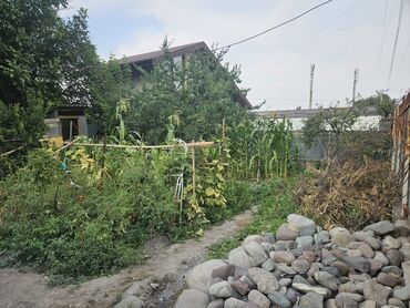 кабинет для мастера маникюра: Бизнес үчүн