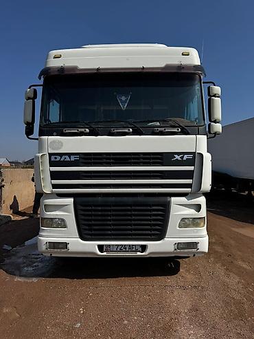 Тягачи: Тягач, DAF, 2005 г., Без прицепа — 1