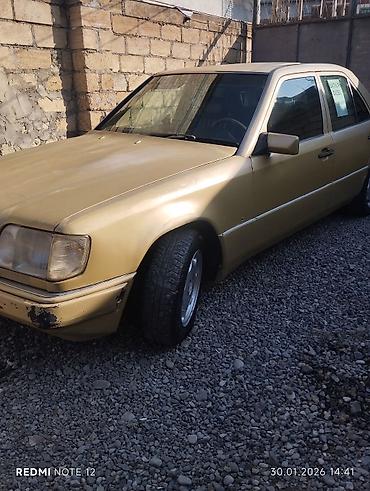 Mercedes-Benz: Mercedes-Benz 250: 2.5 l | 1993 il Sedan — 15