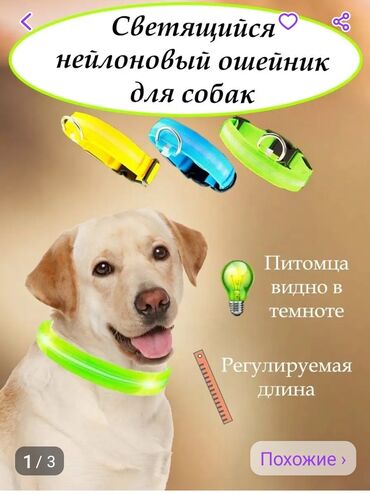 ошейники для собак: Ошейники для собак, светящиеся размер L, MS ваш питомиц будет не
