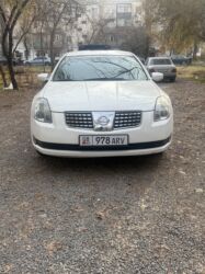 Nissan: Nissan Maxima: 2005 г., 3.5 л, Автомат, Бензин, Седан — 1