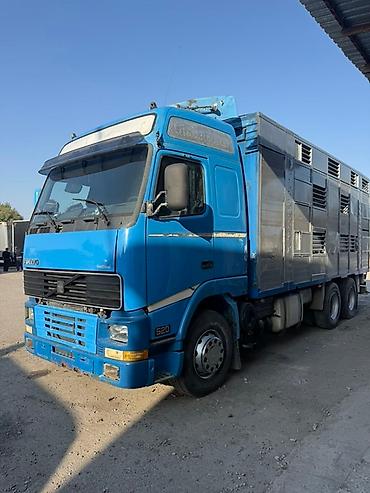 кормушки для животных: Грузовик, Volvo, Б/у — 9
