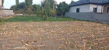 продю: 10 соток, Для строительства, Красная книга — 1