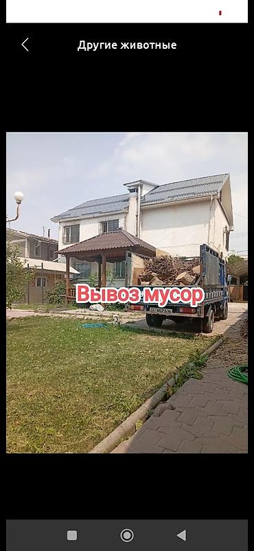 Заказать Хендай портер, Вывоз строй мусора, C грузчиком