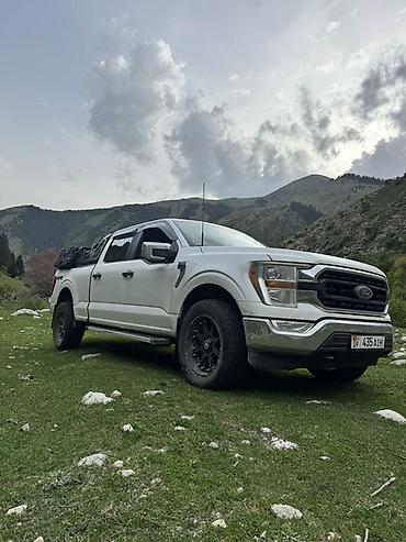 Ford: Ford F-150: 2021 г., 5 л, Автомат, Бензин, Пикап — 5