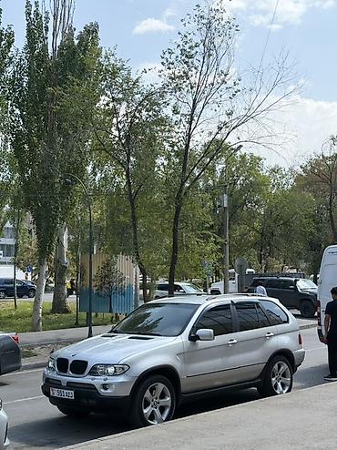 m5 e39: Куплю такой диск на BMW E53 (рест.) R19
1 шт. (Желательно без резины) — 2