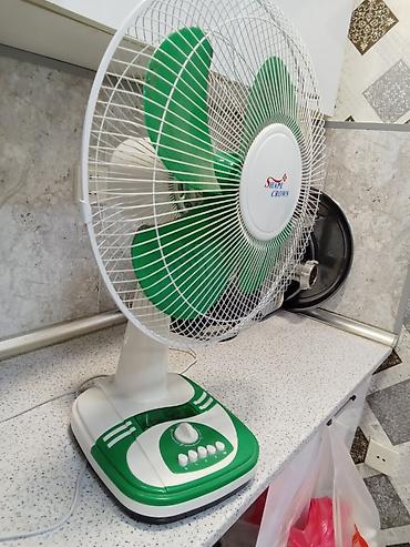 ventilator: Stolüstü ventilyator – Shape Crown - Rəng: yaşıl-ağ - Tip: elektrikli — 1