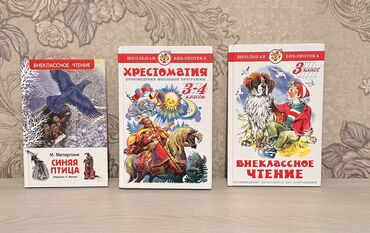 книга чтение: Книги внеклассного чтения. Состояние книг - идеальное