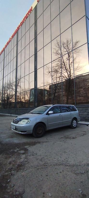 corolla runx: Toyota Corolla: 2002 г., 1.5 л, Автомат, Бензин, Универсал — 1
