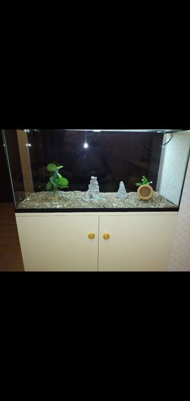 Akvarium aksessuar və ləvazimatları: Akvarium-şkaf, Boş, 130 l, Ünvandan götürmə, Ödənişli çatdırılma, Rayonlara çatdırılma