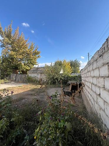 Жер тилкелери: 6 соток, Курулуш, Сатып алуу-сатуу келишими, Кызыл китеп, Техпаспорт — 4