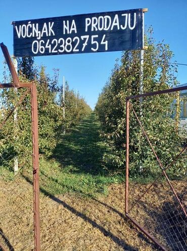 Prodaja zemljišta: Poljoprivredno zemljište — 5