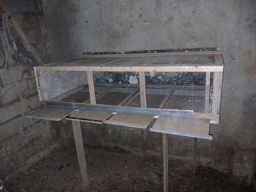 аксессуары для волнистых попугаев: Dördfəsadlı quş qəfəsi - Material: taxta karkas, möhkəm metal tor