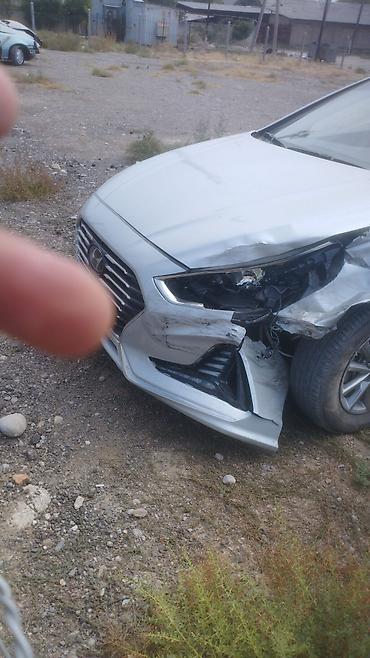 вин код корея: Hyundai Sonata: 2019 г., 2 л, Автомат, Седан — 2